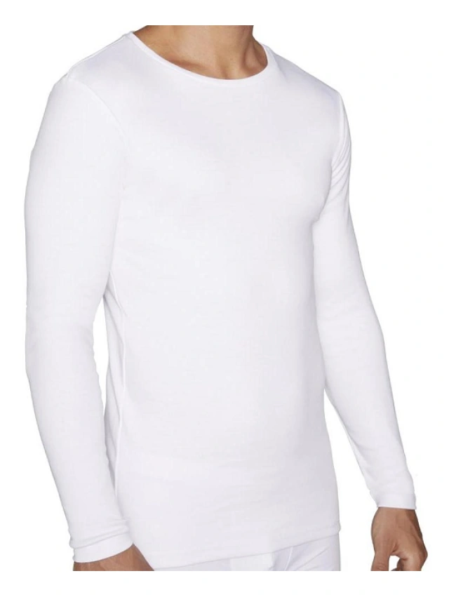 20103 CAMISETA M/L CABALLERO Y.M.